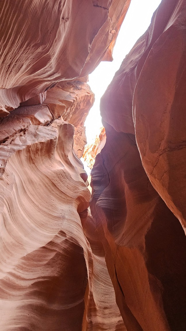 /upload/file/bd1100/202502/prttour_cm9910_30000330.jpg